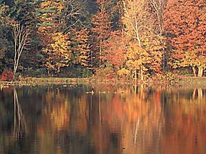 Autumn color on Kendal Lake in CUVA, Ohio, U.S.