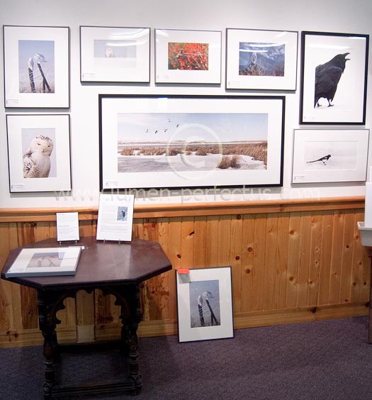 A portion of the Jay Cross photo exhibit at the Red Poppy art gallery