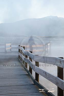 Steam on the boardwalk of Yellowstone's Upper Terraces