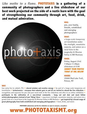 Phototaxis 2013 flier