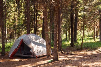 Our Bowman Lake campsite, Glacier National Park, Montana, U.S.