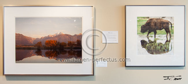Two pictures from my last show at the Sandpiper Gallery.