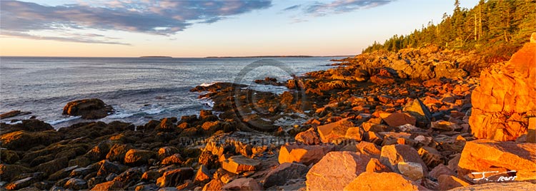 Sunrise on the rocks leading to Otter Point, Acadia National Park, ME, U.S.
