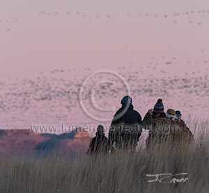 Bird watchers at Freezeout Lake, Teton County, Montana, U.S.