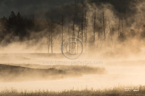 Mist on the Madison River at Sunrise, Yellowstone National Park, Wyoming, U.S.