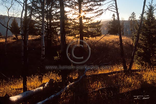 A May, 2005, sunrise in Yellowstone National Park, Wyoming, U.S.