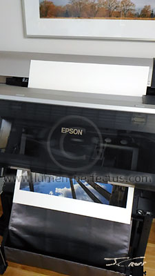 One of the large prints coming off the Epson 7900