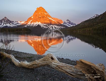 Sunrise on Sinopah Mountain reflecting in Two Medicine Lake, Glacier National Park, Montana, U.S.