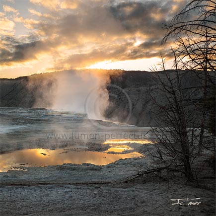 Sunrise and steam, Mammoth Hot Springs, Yellowstone National Park.