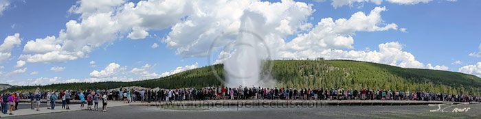 Panoramic view of Old Faithful and the faithful crowd
