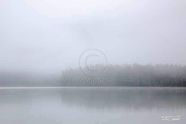 Foggy morning, Lake McDonald, Glacier National Park