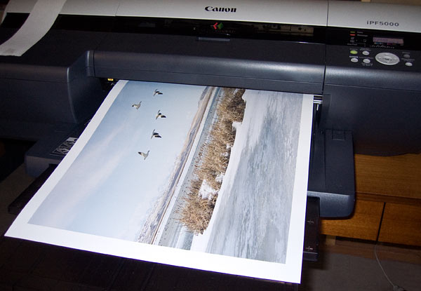 Large panoramic print emerging from the printer