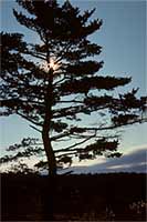 Sunrise, Acadia National Park, Maine