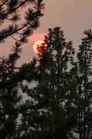 Smoky sunset, N.W. Montana, U.S.