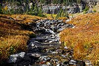 Fall color on Logan Creek in Glacier National Park, Montana, U.S.