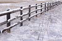 Fence after snowfall, Montana, U.S.