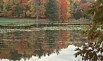 Fence at Kendall Lake, Cuyahoga Valley National Park, Ohio, U.S.
