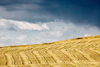 Dark sky over hay field in northwest Montana