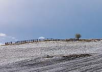 April snow on a plowed field in northwest Montana
