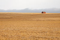 Red barn and barley stubble, near Freezeout Lake, Montana, US