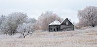 Old shed with sagging roof, Polson, Montana, U.S.
