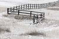 The remains of an old wooden fence, western Montana, U.S.