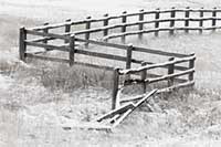 The remains of an old wooden fence, western Montana, U.S.