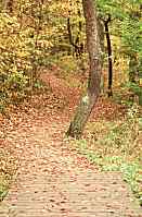 The Path, Cuyahoga Valley National Park, Ohio, U.S.