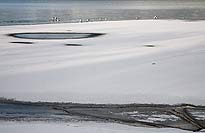 Ice and gulls on Flathead Lake, Montana, U.S.