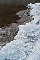 Ice on Lake McDonald Shorline, Glacier N.P. Montana, U.S.