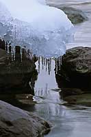 Ice on rocks, Lake McDonald, Glacier National Park, Montana, U.S.