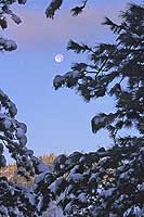 Full moon, Dec 2005, Polson, MT, U.S.
