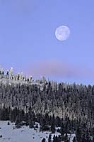 Full moon setting, Dec 2005, Polson, MT, U.S.