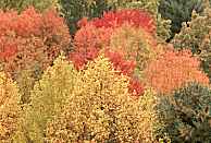 Autumn color, Cuyahoga Valley National Park, Ohio, U.S.