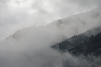 Morning fog in the Belton Hills, Glacier National Park, Montana, U.S.