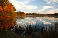 Haymarsh Lake at sunrise, west-central Michigan, U.S.