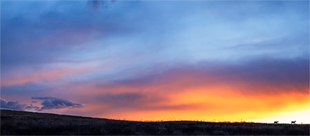 A panoramic view of an otherworldly after-sunset sky. near Montana's Flathead Lake