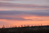 A pastel after-sunset September sky in northwest Montana