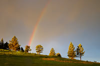 Rainbow at sunrise, Wind Cave National Park, South Dakota, U.S.