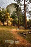 Dappled sun and fall color, Devils Tower, Wyoming, U.S.