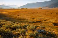 Lamar Valley sunrise, Yellowstone National Park, Wyoming, U.S.