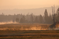Sunrise mist on the Madison River in Yellowstone National Park, Wyoming, U.S.