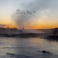 Mist rises from the Madison river at sunrise, Yellowstone National Park, Wyoming, U.S.